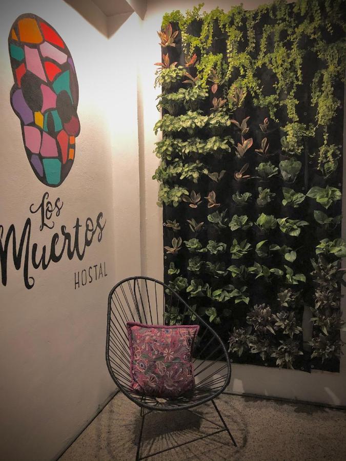 Los Muertos Hostal Puerto Vallarta Eksteriør billede